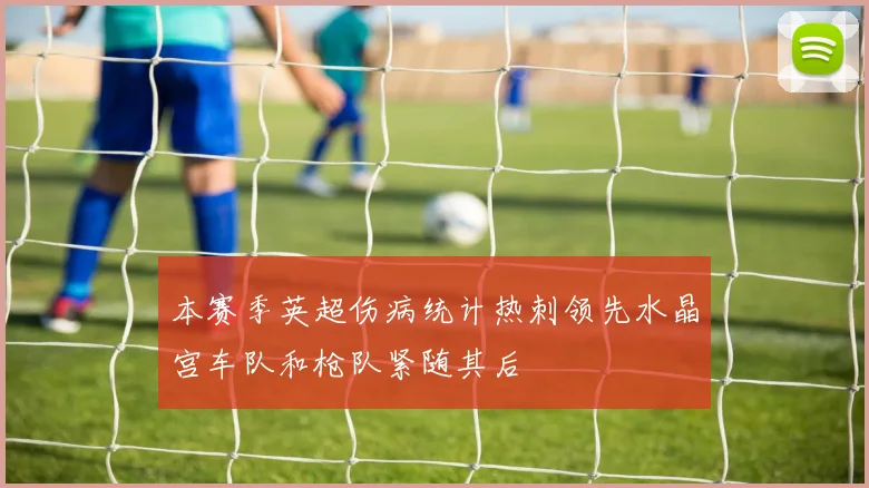 本赛季英超伤病统计热刺领先水晶宫车队和枪队紧随其后